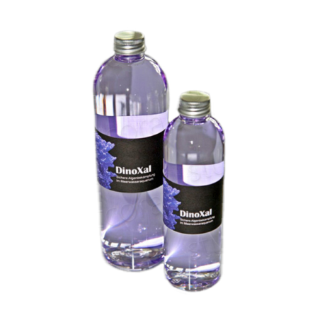 DinoXal