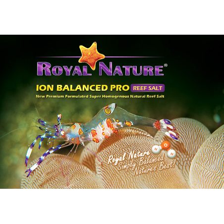 Royal Nature Sale Marino Bilanciato Pro - Reef Salt