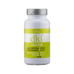 DKI Marine