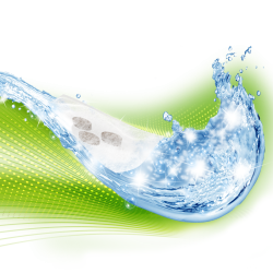 bioBoost