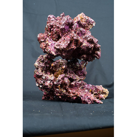 REAL REEF ROCK al kg.