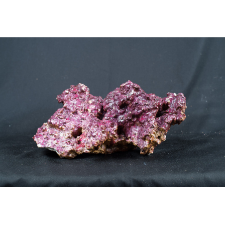 REAL REEF ROCK al kg.