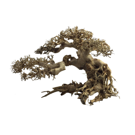 ADA Bonsai Wood S