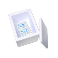 BOX Congelato