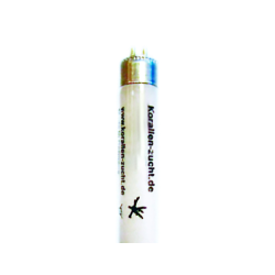 Korallen Zucht T5 Great Barrier Turquoise