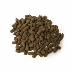 Vitalis Anemone Pellets